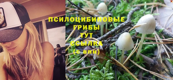 кокаин премиум Богданович