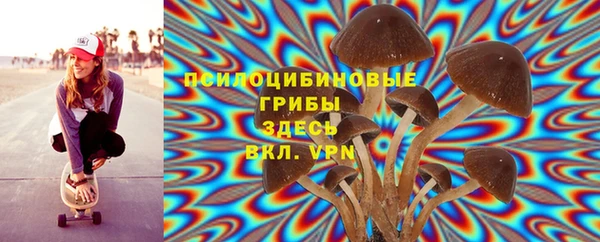 бошки Богородск