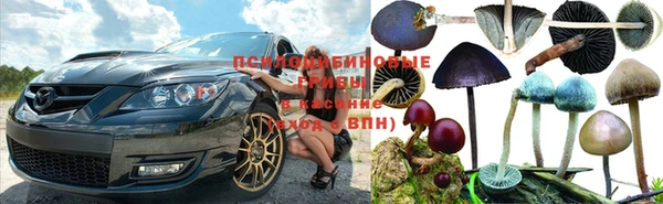 альфа пвп Богородицк