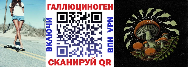 Галлюциногенные грибы Psilocybine cubensis  блэк спрут сайт  Кирсанов 
