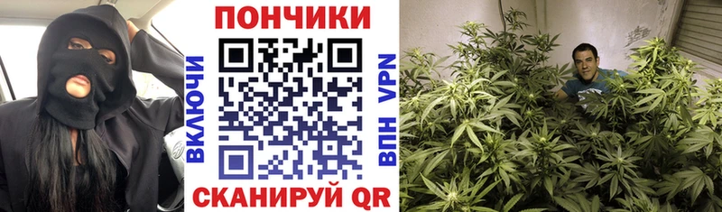 KRAKEN tor  Кирсанов  мориарти Telegram  Каннабис конопля 